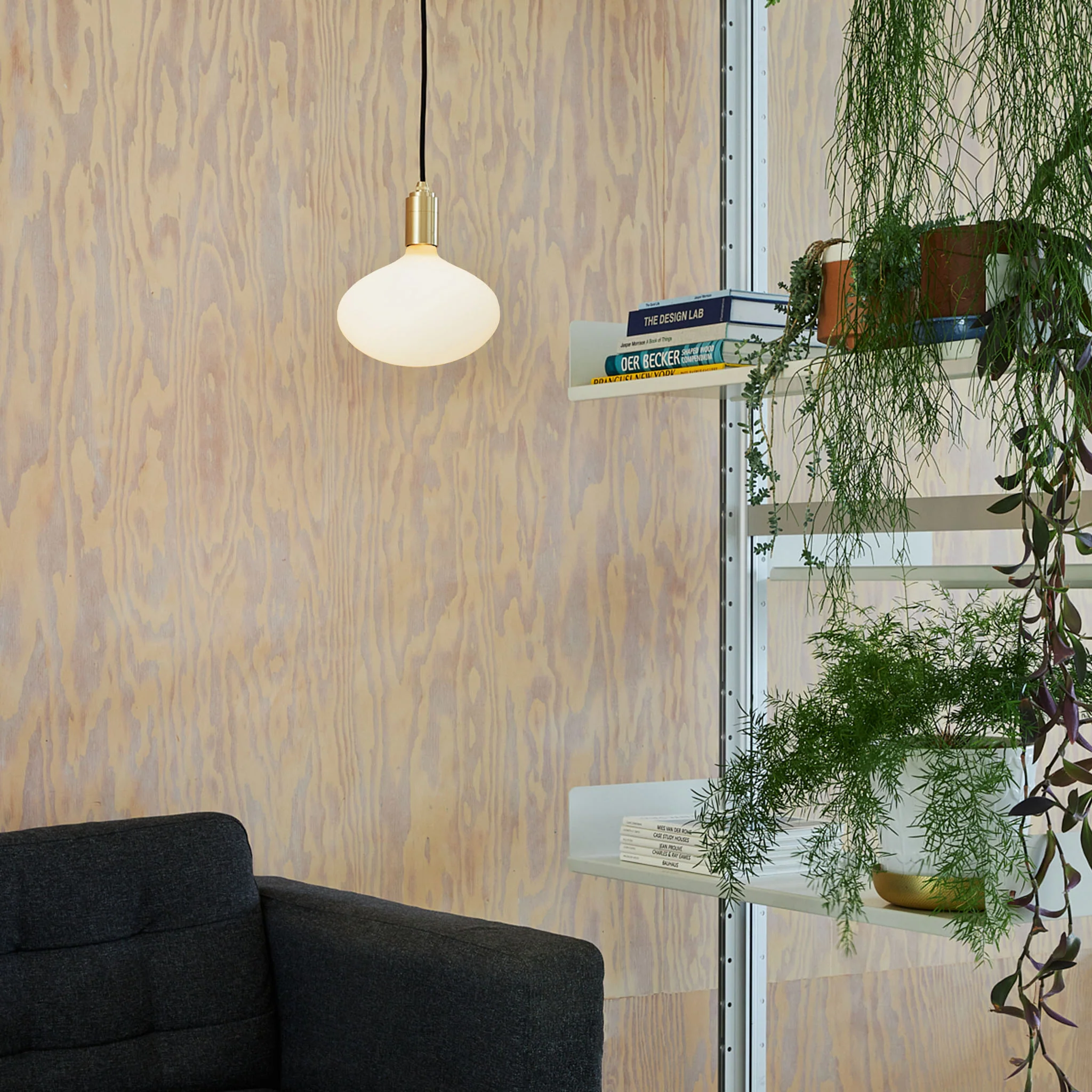 Oval II E27 Dim-to-Warm LED Bulb - Image 3