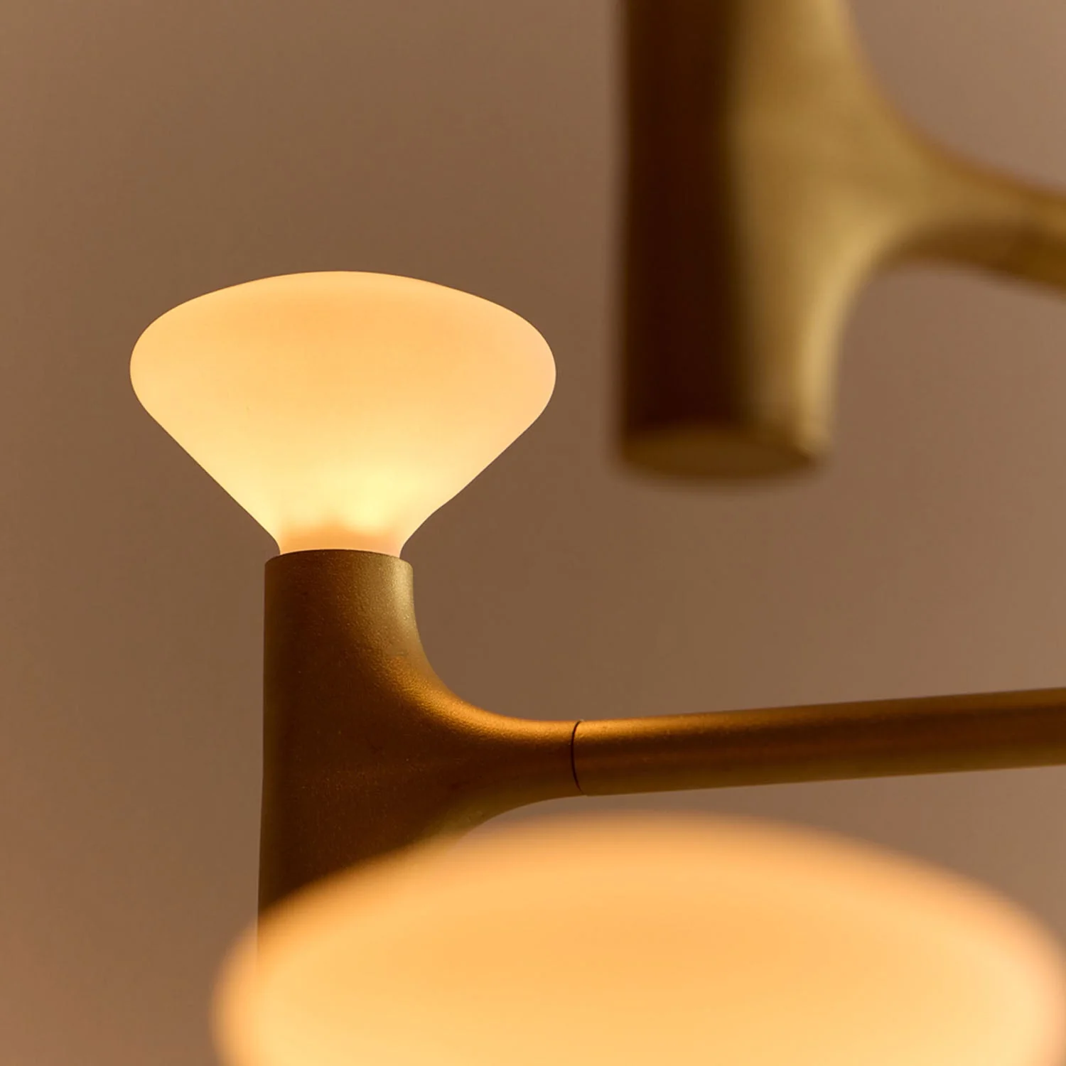 Root Two-Tier Chandelier - Image 4